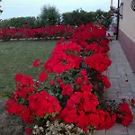 Angelica Appartement