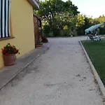 Angelica