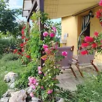 Daire Angelica Ostra Vetere