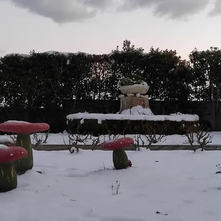 Angelica Appartamento Ostra Vetere