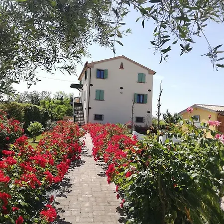Angelica Apartment