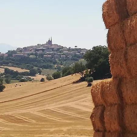 Appartamento Angelica *