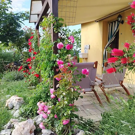 Apartment Angelica Ostra Vetere