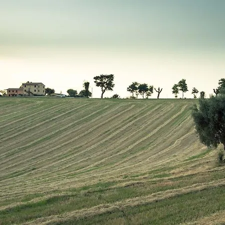 Appartamento Angelica Ostra Vetere