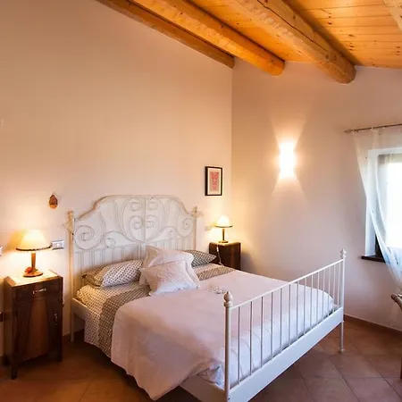 Angelica Ostra Vetere